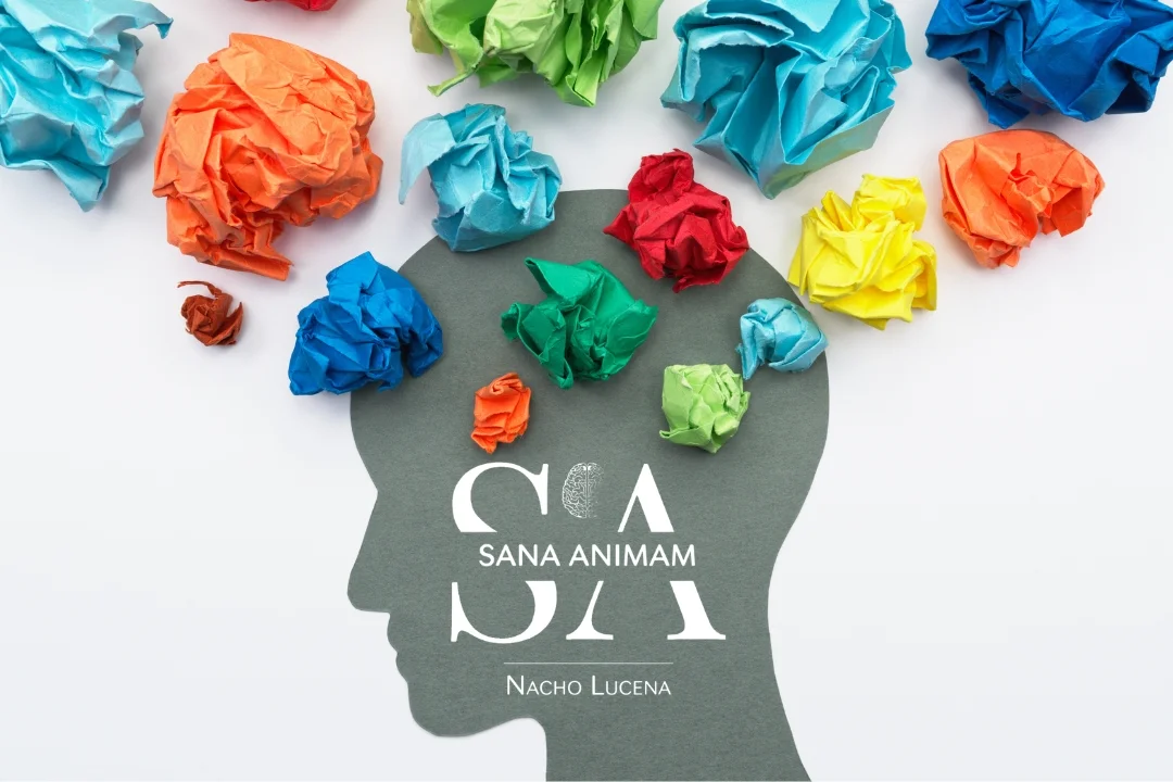 Sana Animam: Tu refugio terapéutico en Córdoba